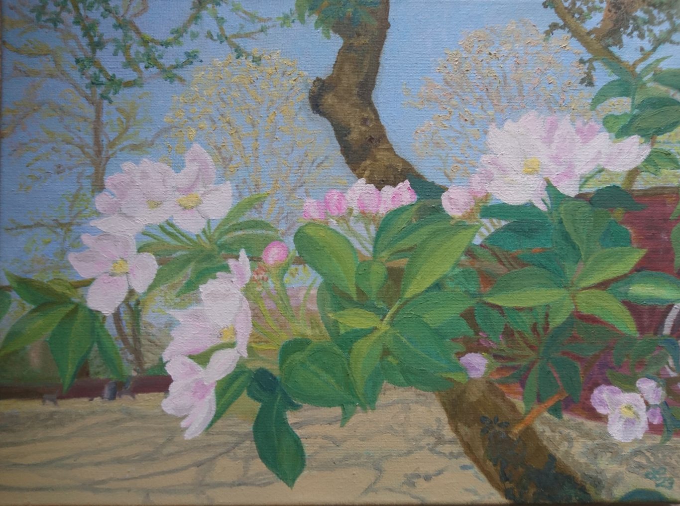 Apfelblüte Altmannshöhe